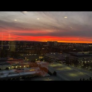 Meet your Posher, Tara